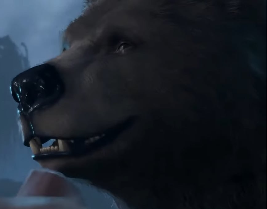 Smiling bear ;) Blank Meme Template