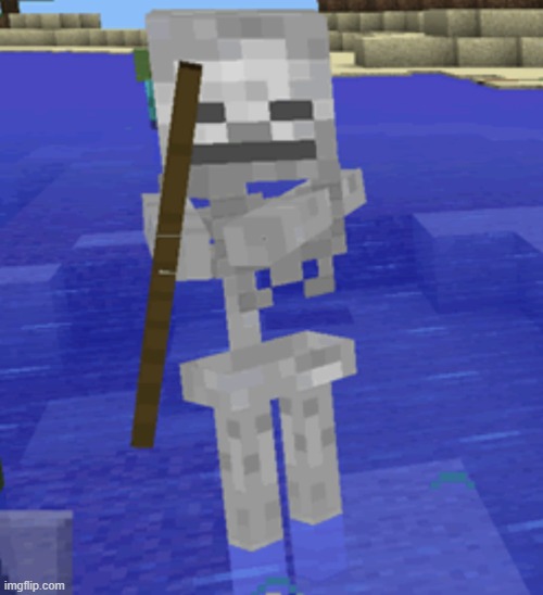 Minecraft Skeleton will decide your fate | image tagged in minecraft skeleton will decide your fate | made w/ Imgflip meme maker
