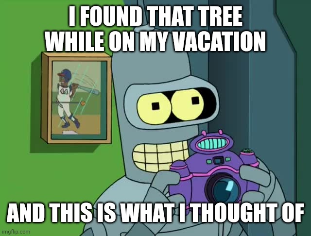 BENDER NEAT | I FOUND THAT TREE WHILE ON MY VACATION AND THIS IS WHAT I THOUGHT OF | image tagged in bender neat | made w/ Imgflip meme maker
