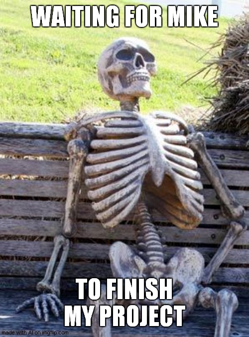 I have no idea who you are. All I know is that you are too slow. | WAITING FOR MIKE; TO FINISH MY PROJECT | image tagged in memes,waiting skeleton | made w/ Imgflip meme maker