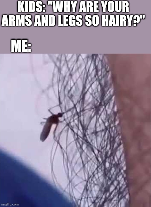 DEFENSE | KIDS: "WHY ARE YOUR ARMS AND LEGS SO HAIRY?"; ME: | image tagged in mosquitoes,hairy | made w/ Imgflip meme maker