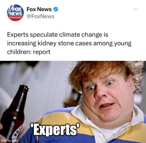 Lying ass experts. | 'Experts' | image tagged in chris not so sure | made w/ Imgflip meme maker