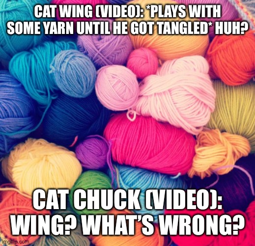 Playing With Yarn (A Chuck X Wing Cat Video) | CAT WING (VIDEO): *PLAYS WITH SOME YARN UNTIL HE GOT TANGLED* HUH? CAT CHUCK (VIDEO): WING? WHAT’S WRONG? | image tagged in yarn | made w/ Imgflip meme maker