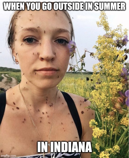 WHEN YOU GO OUTSIDE IN SUMMER IN INDIANA | made w/ Imgflip meme maker