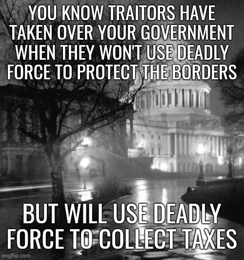 Traitors have taken over. | YOU KNOW TRAITORS HAVE TAKEN OVER YOUR GOVERNMENT WHEN THEY WON'T USE DEADLY FORCE TO PROTECT THE BORDERS; BUT WILL USE DEADLY FORCE TO COLLECT TAXES | image tagged in memes | made w/ Imgflip meme maker