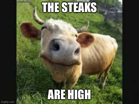 happy cow | THE STEAKS ARE HIGH | image tagged in happy cow | made w/ Imgflip meme maker