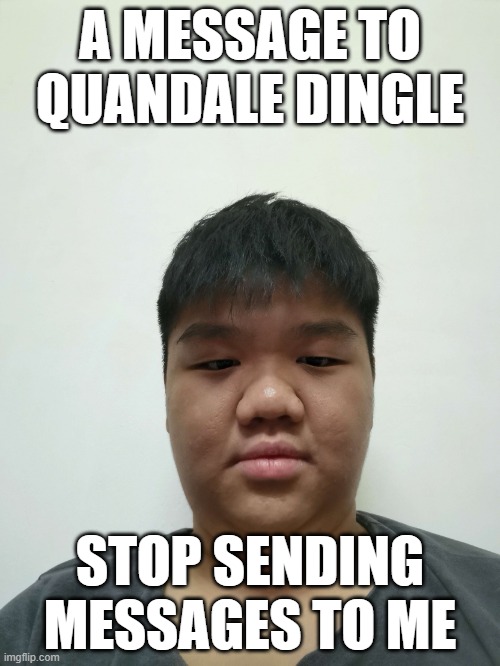 quandale dingle moment | A MESSAGE TO QUANDALE DINGLE; STOP SENDING MESSAGES TO ME | image tagged in uncle looking at facebook | made w/ Imgflip meme maker