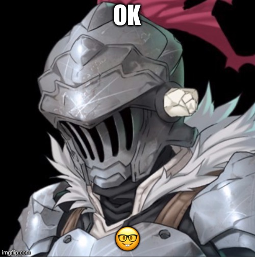 Goblin Slayer | OK ? | image tagged in goblin slayer | made w/ Imgflip meme maker