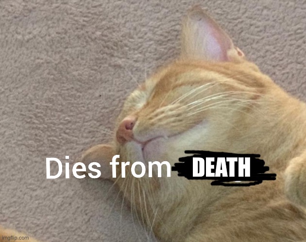 Cat dies from cringe | DEATH | image tagged in cat dies from cringe | made w/ Imgflip meme maker