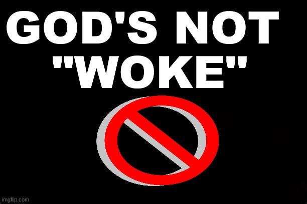GOD'S NOT "WOKE" | GOD'S NOT 
"WOKE" | image tagged in god,woke | made w/ Imgflip meme maker