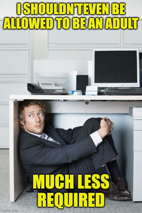 Hiding Business Person | I SHOULDN'TEVEN BE ALLOWED TO BE AN ADULT; MUCH LESS REQUIRED | image tagged in hiding business person | made w/ Imgflip meme maker