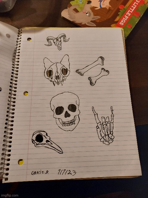 More skulls | image tagged in skull | made w/ Imgflip meme maker