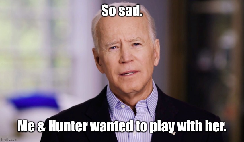 Joe Biden 2020 | So sad. Me & Hunter wanted to play with her. | image tagged in joe biden 2020 | made w/ Imgflip meme maker