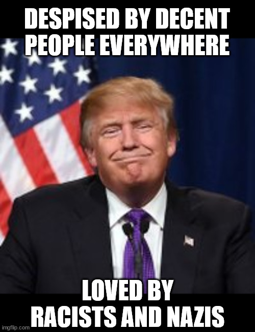 Trump Smug Face | DESPISED BY DECENT
PEOPLE EVERYWHERE LOVED BY
RACISTS AND NAZIS | image tagged in trump smug face | made w/ Imgflip meme maker