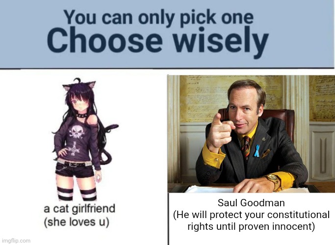 Choose wisely | Saul Goodman
(He will protect your constitutional rights until proven innocent) | image tagged in choose wisely | made w/ Imgflip meme maker