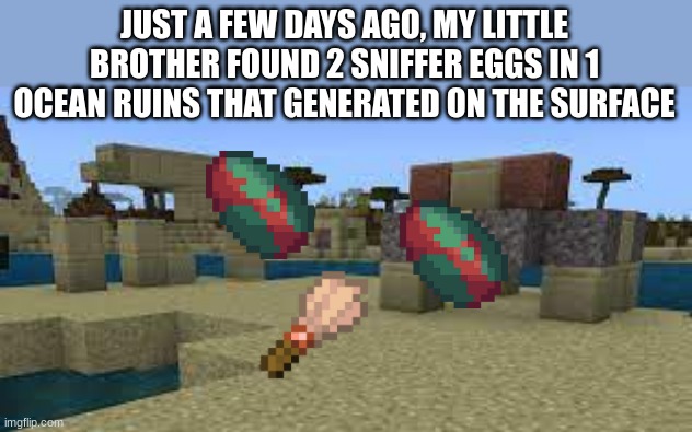 What are the chances? | JUST A FEW DAYS AGO, MY LITTLE BROTHER FOUND 2 SNIFFER EGGS IN 1 OCEAN RUINS THAT GENERATED ON THE SURFACE | made w/ Imgflip meme maker