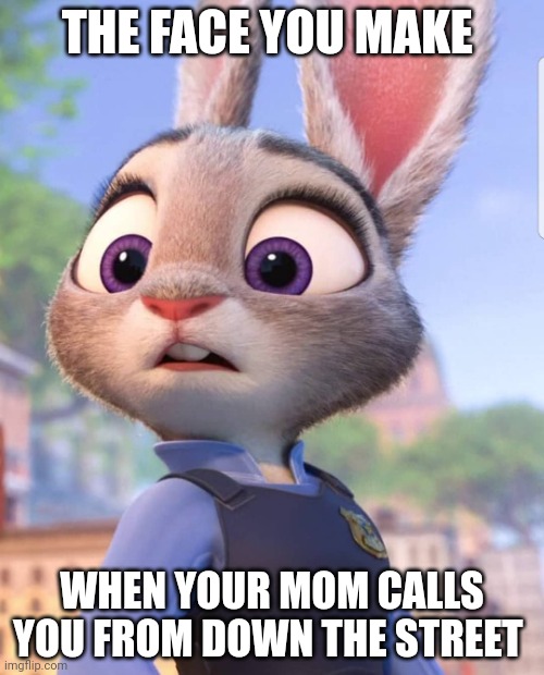Judy and her Mom | THE FACE YOU MAKE; WHEN YOUR MOM CALLS YOU FROM DOWN THE STREET | image tagged in judy hopps looking on,zootopia,judy hopps,the face you make when,funny,memes | made w/ Imgflip meme maker