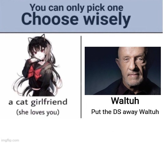 Choose wisely | Waltuh; Put the DS away Waltuh | image tagged in choose wisely | made w/ Imgflip meme maker