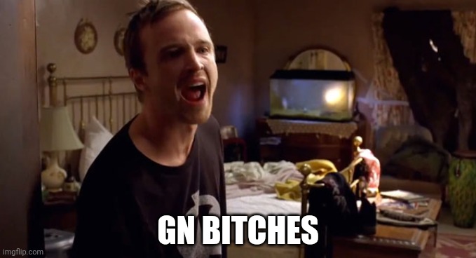 jesse pinkman breaking bad shout | GN BITCHES | image tagged in jesse pinkman breaking bad shout | made w/ Imgflip meme maker