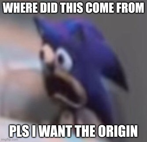 Traumatised Sonic | WHERE DID THIS COME FROM; PLS I WANT THE ORIGIN | image tagged in traumatised sonic | made w/ Imgflip meme maker