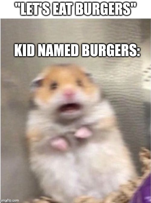 Comment if your name is burger ? ? | "LET'S EAT BURGERS"; KID NAMED BURGERS: | image tagged in scared hamster | made w/ Imgflip meme maker