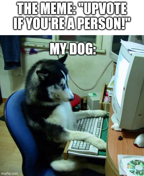 Any fellow dogs on Imgflip? | THE MEME: "UPVOTE IF YOU'RE A PERSON!"; MY DOG: | image tagged in memes,i have no idea what i am doing | made w/ Imgflip meme maker