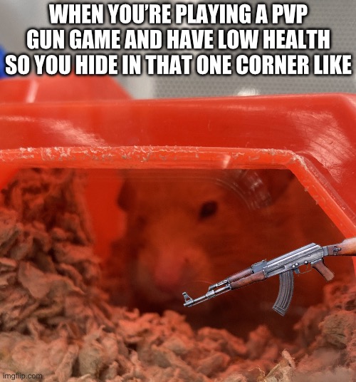I NEED TO REGENERATE | WHEN YOU’RE PLAYING A PVP GUN GAME AND HAVE LOW HEALTH SO YOU HIDE IN THAT ONE CORNER LIKE | image tagged in bob the mouse | made w/ Imgflip meme maker