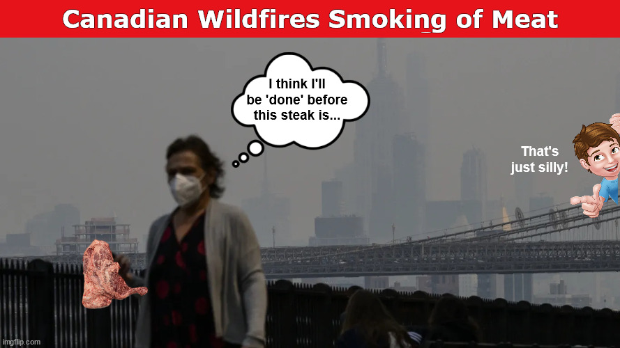 When Life Gives You Smoke from Canadian Wildfires, You Adapt | image tagged in wildfires,smoking meat,smoke,canadian wildfires,silly memes,memes | made w/ Imgflip meme maker