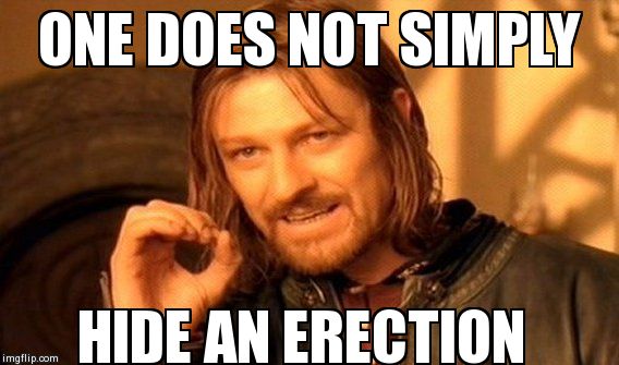 One Does Not Simply | ONE DOES NOT SIMPLY HIDE AN ERECTION | image tagged in memes,one does not simply | made w/ Imgflip meme maker