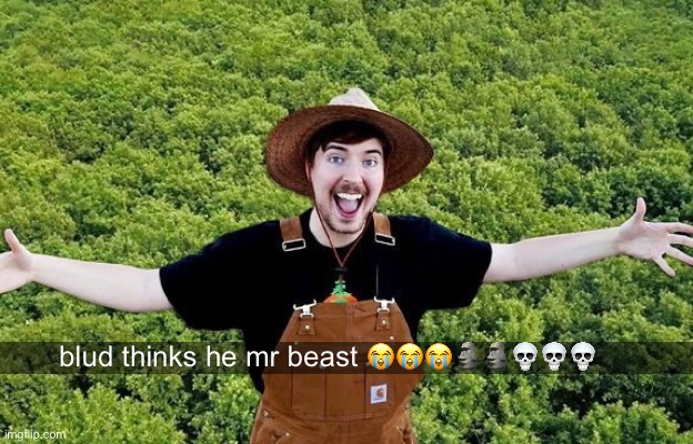 shitpsot ? | blud thinks he mr beast 😭😭😭🗿🗿💀💀💀 | image tagged in mr beast,get rea,shitpost,no shit sherlock | made w/ Imgflip meme maker