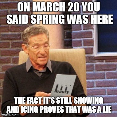 Maury Lie Detector Meme | ON MARCH 20 YOU SAID SPRING WAS HERE THE FACT IT'S STILL SNOWING AND ICING PROVES THAT WAS A LIE | image tagged in memes,maury lie detector,AdviceAnimals | made w/ Imgflip meme maker