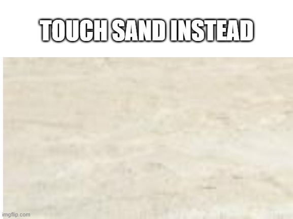 you touched grass? | TOUCH SAND INSTEAD | image tagged in touch grass,touch sand | made w/ Imgflip meme maker