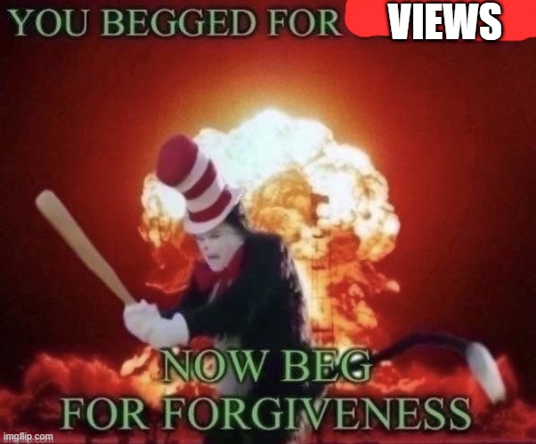 YOU BEGGED FOR VIEWS | VIEWS | image tagged in beg for forgiveness,memes | made w/ Imgflip meme maker
