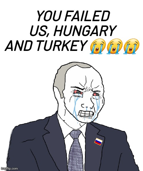 WELCOME SWEDEN TO NATO | YOU FAILED US, HUNGARY AND TURKEY 😭😭😭 | image tagged in putin wojack,nato,sweden,hungary,turkey,memes | made w/ Imgflip meme maker