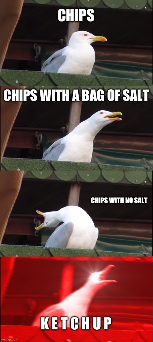 seagull food type | CHIPS; CHIPS WITH A BAG OF SALT; CHIPS WITH NO SALT; K E T C H U P | image tagged in memes,inhaling seagull | made w/ Imgflip meme maker