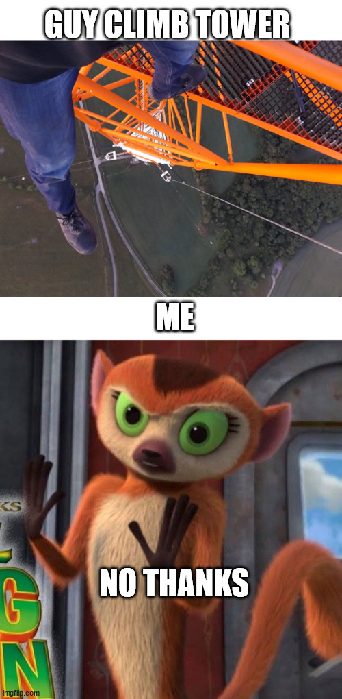 clover meets climber | GUY CLIMB TOWER; ME; NO THANKS | image tagged in clover,madagascar,kingjulien,latticeclimbing,meme | made w/ Imgflip meme maker