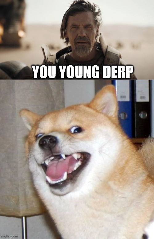Gurney and his new dog | YOU YOUNG DERP | image tagged in dune | made w/ Imgflip meme maker