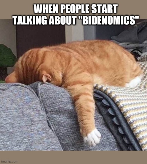 WHEN PEOPLE START TALKING ABOUT "BIDENOMICS" | image tagged in cute cat,tired cat | made w/ Imgflip meme maker