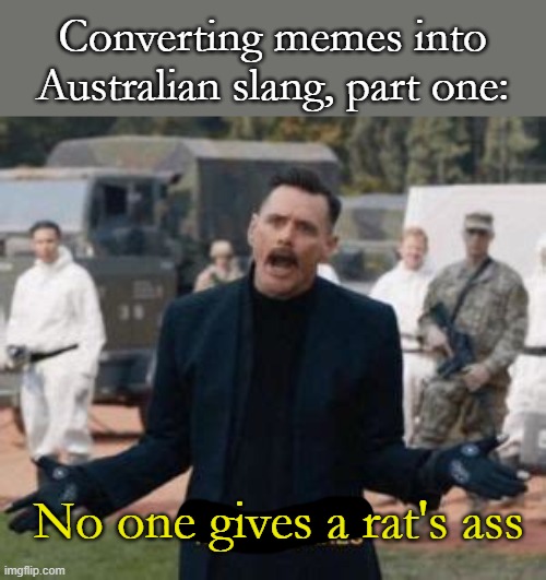 Robotnik Nobody Cares | Converting memes into Australian slang, part one:; No one gives a rat's ass | image tagged in robotnik nobody cares,frost,australia | made w/ Imgflip meme maker