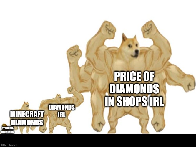 buff doges | TERRARIA DIAMONDS MINECRAFT DIAMONDS DIAMONDS IRL PRICE OF DIAMONDS IN SHOPS IRL | image tagged in buff doges | made w/ Imgflip meme maker