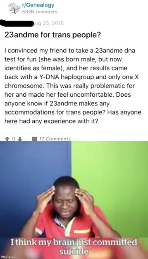 For people who don't know, read the description | FOR PEOPLE WHO DON'T KNOW, PEOPLE WHO ARE BORN WITH ONE X AND ONE Y CHROMOSOME ARE MALE, AND THE TRANS PERSON WAS A MALE | image tagged in i think my brain just committed suicide,shitpost,msmg,oh wow are you actually reading these tags | made w/ Imgflip meme maker