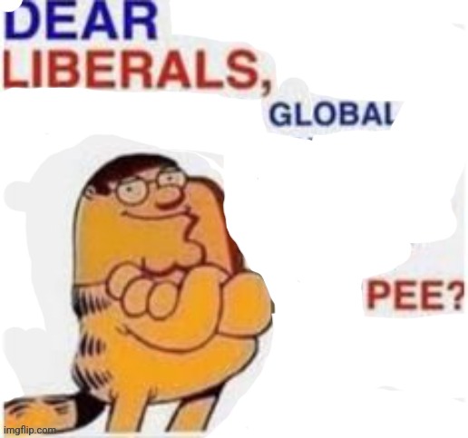 Words of truth | image tagged in dear liberals | made w/ Imgflip meme maker