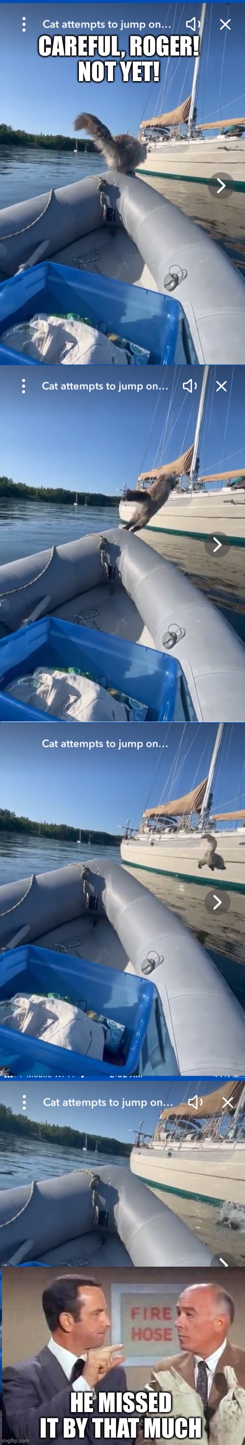 https://www.msn.com/en-us/video/animals/not-yet-fearless-cat-attempts-to-jump-from-dinghy-to-sailboat-instantly-regrets-it/vi-AA | CAREFUL, ROGER!
NOT YET! HE MISSED IT BY THAT MUCH | image tagged in cat,jump,boat,roger | made w/ Imgflip meme maker
