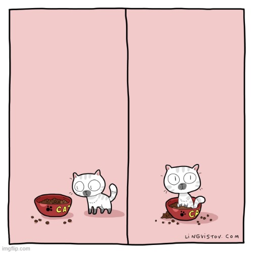 A Cat's Way Of Thinking | image tagged in memes,comics/cartoons,cats,cat food,dishes,upgraded to perfection | made w/ Imgflip meme maker