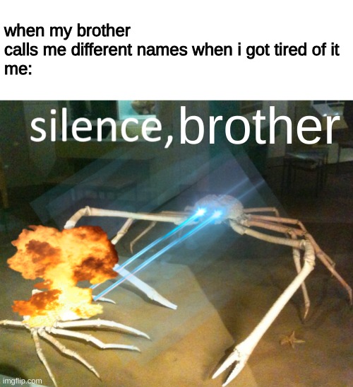 siblings be like: | when my brother calls me different names when i got tired of it
me:; brother | image tagged in silence crab,my brother,making fun,of me | made w/ Imgflip meme maker