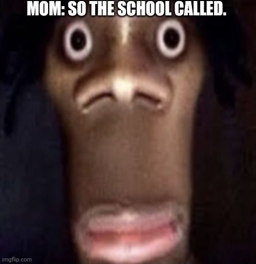 Spare me.. | MOM: SO THE SCHOOL CALLED. | image tagged in quandale dingle | made w/ Imgflip meme maker