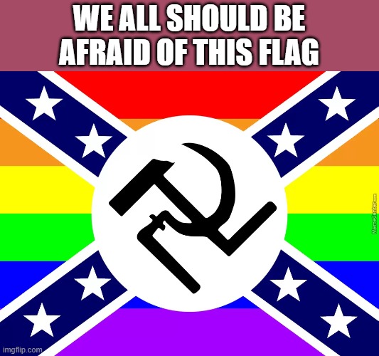 Concerned | WE ALL SHOULD BE
AFRAID OF THIS FLAG | image tagged in dank memes flag | made w/ Imgflip meme maker