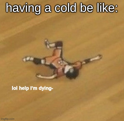 idk | having a cold be like: | image tagged in lol help i'm dying-,sick | made w/ Imgflip meme maker