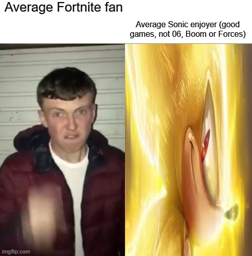 At least it's better than Fortnite | Average Fortnite fan; Average Sonic enjoyer (good games, not 06, Boom or Forces) | image tagged in memes | made w/ Imgflip meme maker