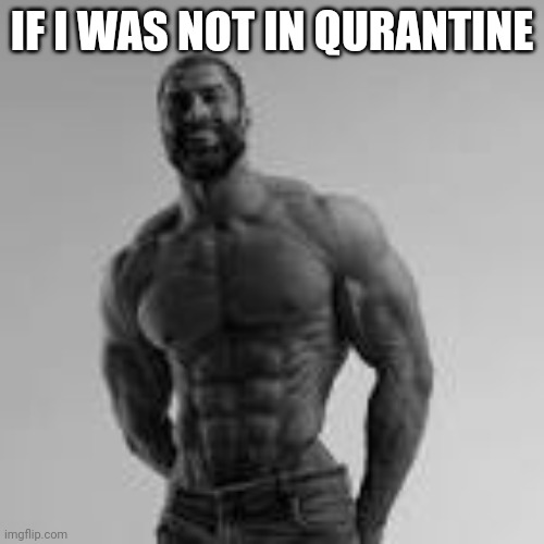 TRUE | IF I WAS NOT IN QURANTINE | image tagged in giga chad | made w/ Imgflip meme maker
